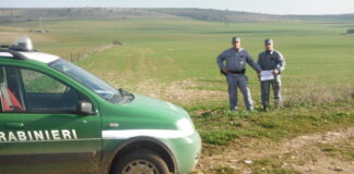 Violazioni nel Parco dell’Alta Murgia: denunciati tre canosini