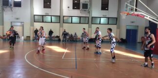 Sport Week: ruggito della Pallacanestro Andria nel derby, vola l’Audax Volley