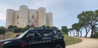 Raccolta tartufi, controlli dei Carabinieri Forestali: multe per un totale di 10mila euro