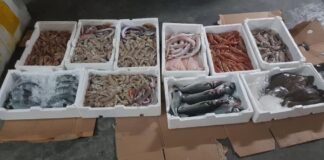 Lotta al commercio abusivo ad Andria: aumentano sequestri e multe