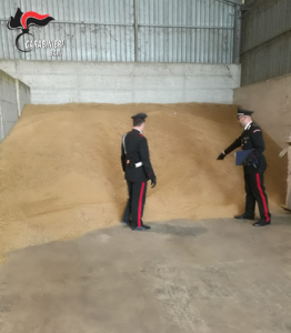 carabinieri refurtiva spinazzola grano
