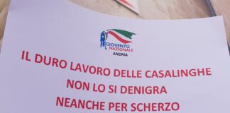 Commento contro Meloni, Gioventù Nazionale: «Piena solidarietà, Vurchio dimettiti»