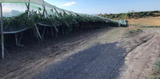 Maltempo, Cia Puglia: «Danni anche alle strutture agricole»