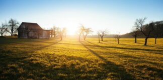 No a taglio per 39 milioni di euro ad agricoltura pugliese, Coldiretti: «E’ il più alto d’Italia»