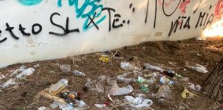 La sconfitta più pesante: la Pineta di Andria è nuovamente una discarica a cielo aperto
