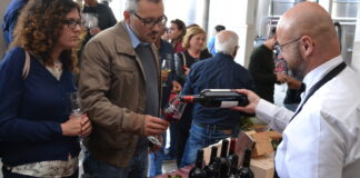 Cantine Aperte in Vendemmia, tutto pronto per la XXI edizione