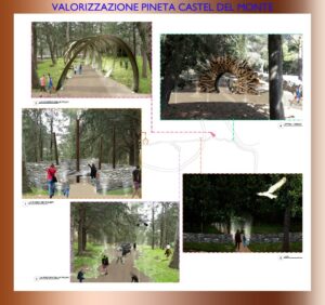 progetto pineta castel del monte