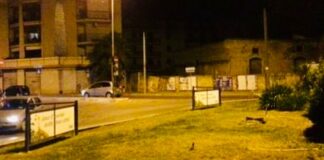 Omicidio in via Puccini: convalidato il fermo del 50enne andriese, ora in carcere