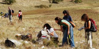 “E…state in Murgia”, il campo di volontariato naturalistico nel Parco Nazionale