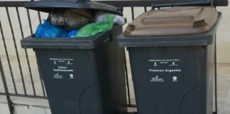 Servizio di raccolta rifiuti regolare per martedì 1 novembre
