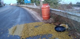 Si rompe una spondina laterale ad un tir, perso parte del carico di olive in salamoia sulla tangenziale