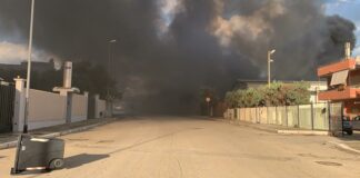 Forum Ambiente Salute Andria: «Città minacciata da due emergenze sanitarie»