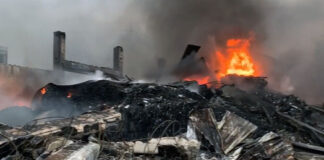 Fiamme alla Dalena Ecologia, la Procura apre un fascicolo contro ignoti per incendio doloso