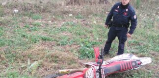 Motocross illegale nel bosco di Acquatetta: fuggono alla vista dei Carabinieri