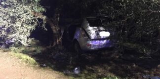 Nuova tragedia sull’Andria-Bisceglie: auto contro albero, muore 25enne andriese