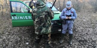 Documenti falsi per esercitare la caccia anche ad Andria: due denunce