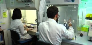 Variante inglese Covid: 7 i casi individuati in Puglia