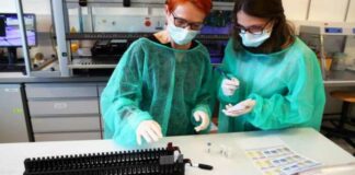 Coronavirus: “30 minuti per sapere se sei positivo”, test rapidi anche in Puglia