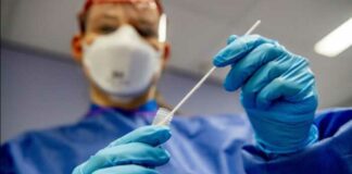 Torna il Covid-19 nella Bat: registrato un nuovo caso dopo più di un mese