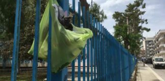 Buste di rifiuti appesi in via di Ceglie: i residenti non ci stanno