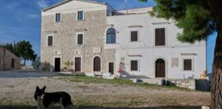 Raccolta fondi per la bitumazione della strada verso San Vittore