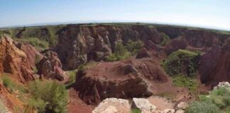 Via libera dal Mise all’emissione di francobolli sui 5 tesori geologici dell’Alta Murgia