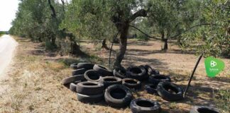 Abbandono incontrollato di pneumatici nelle campagne di Andria