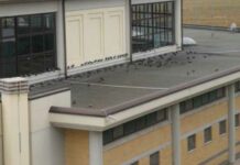 Piscina, centrodestra: «Per 20 anni a 200 euro al mese a privati? Regali di fine mandato della sindaca»