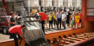 Cantine Aperte in Vendemmia: la XXII edizione il prossimo 4 ottobre