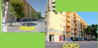 Verde pubblico, la rabbia di 3Place: «Quei pini scomparsi in via Martiri di Bologna»