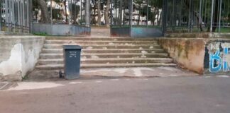Degrado Pineta Comunale: dopo la segnalazione arriva la pulizia
