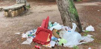E’ stato anche il Natale degli imbecilli: Pineta Comunale ridotta a discarica