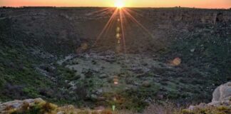 Parco Alta Murgia, un logo per la candidatura a Geoparco UNESCO