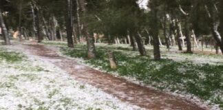 Un “bianco” risveglio anche ad Andria, oltre 15 centimetri a Castel del Monte