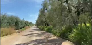 Lavori sulla ex SP231, aperte alle auto le complanari nel tratto tra Andria e Montegrosso