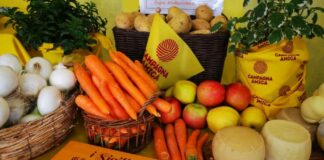 Giornata della Biodiversità, Coldiretti Puglia: «Persi 3 frutti su 4»