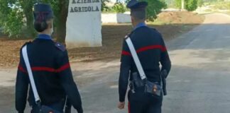 Una fortuna grazie a furti e rapine, confisca da 80 milioni di euro per imprenditore andriese