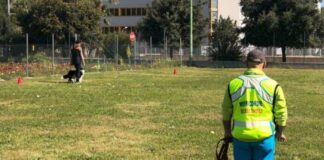 A Modugno ecco il campo di addestramento per unità cinofile delle Misericordie di Puglia