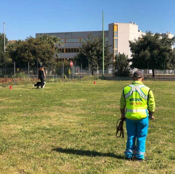 CAMPO DI ADDESTRAMENTO CANI MODUGNO MISERICORDIE (2)