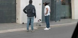 Controlli ai proprietari di animali domestici, 8 sanzioni della Polizia Locale