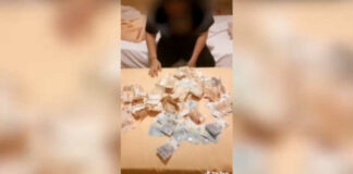 Così festeggiavano con i soldi del reddito di cittadinanza su TikTok