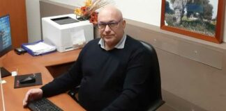 Aipo: «Senza interventi duraturi si rischia la distruzione del patrimonio olivicolo regionale»