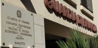 Olio vergine e lampante venduto come “EVO Bio” ad una impresa di Andria: sequestro da 180 quintali