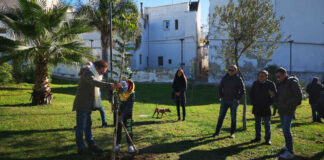 Al via l’iniziativa “Il Tesoro di Natale”: ad Andria parchi e giardini diventeranno ancora più green