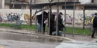 Capolinea dei bus, Coratella: «Disagi a carico dei viaggiatori, serve serietà»