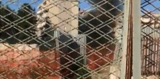 Fumo nero dal cantiere ferroviario a nord di Andria