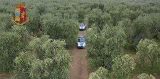 Sicurezza nelle campagne, il Questore incontra alcuni imprenditori agricoli andriesi