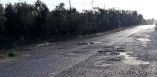 Sp 2 Andria-Canosa, Cgil Bat: «Abbandono e totale incuria di complanari e strade limitrofe»