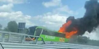 Autobus prende fuoco sulla A14 tra Andria e Canosa: passeggeri in strada