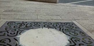 Malta al posto degli alberi secchi, ma il Comune promette: «Nuove piantumazioni in autunno»